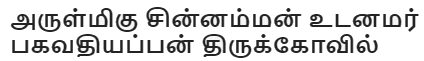 அருள்மிகு சின்னம்மன் உடனமர் பகவதியப்பன் திருக்கோவில்