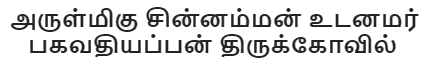 அருள்மிகு சின்னம்மன் உடனமர் பகவதியப்பன் திருக்கோவில்